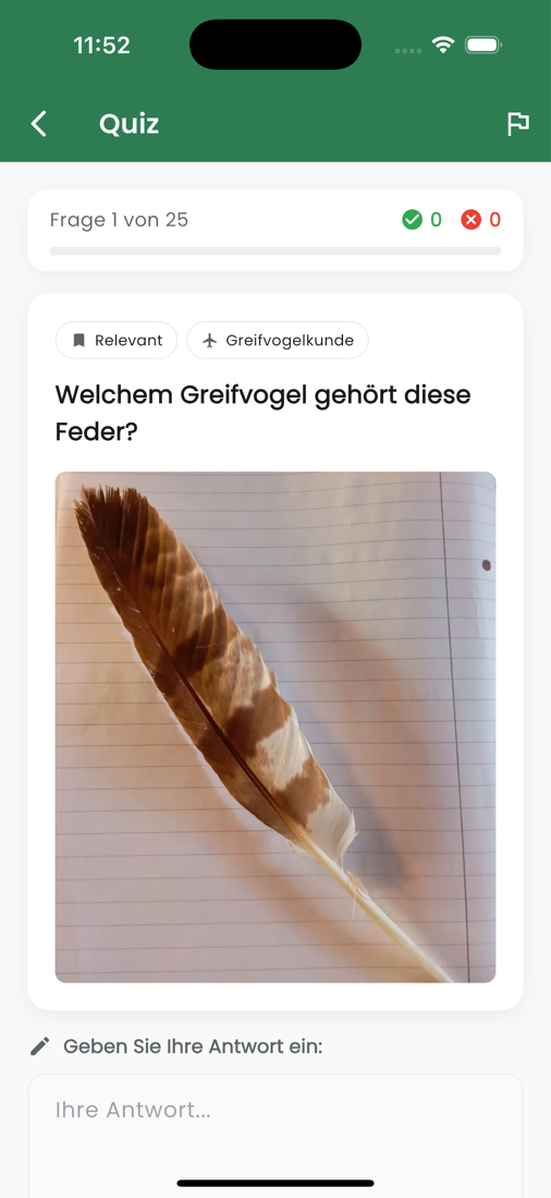 Quizfrage mit Bild: Welchem Greifvogel gehört diese Feder?